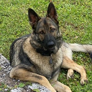 Meet your Posher, Tammy